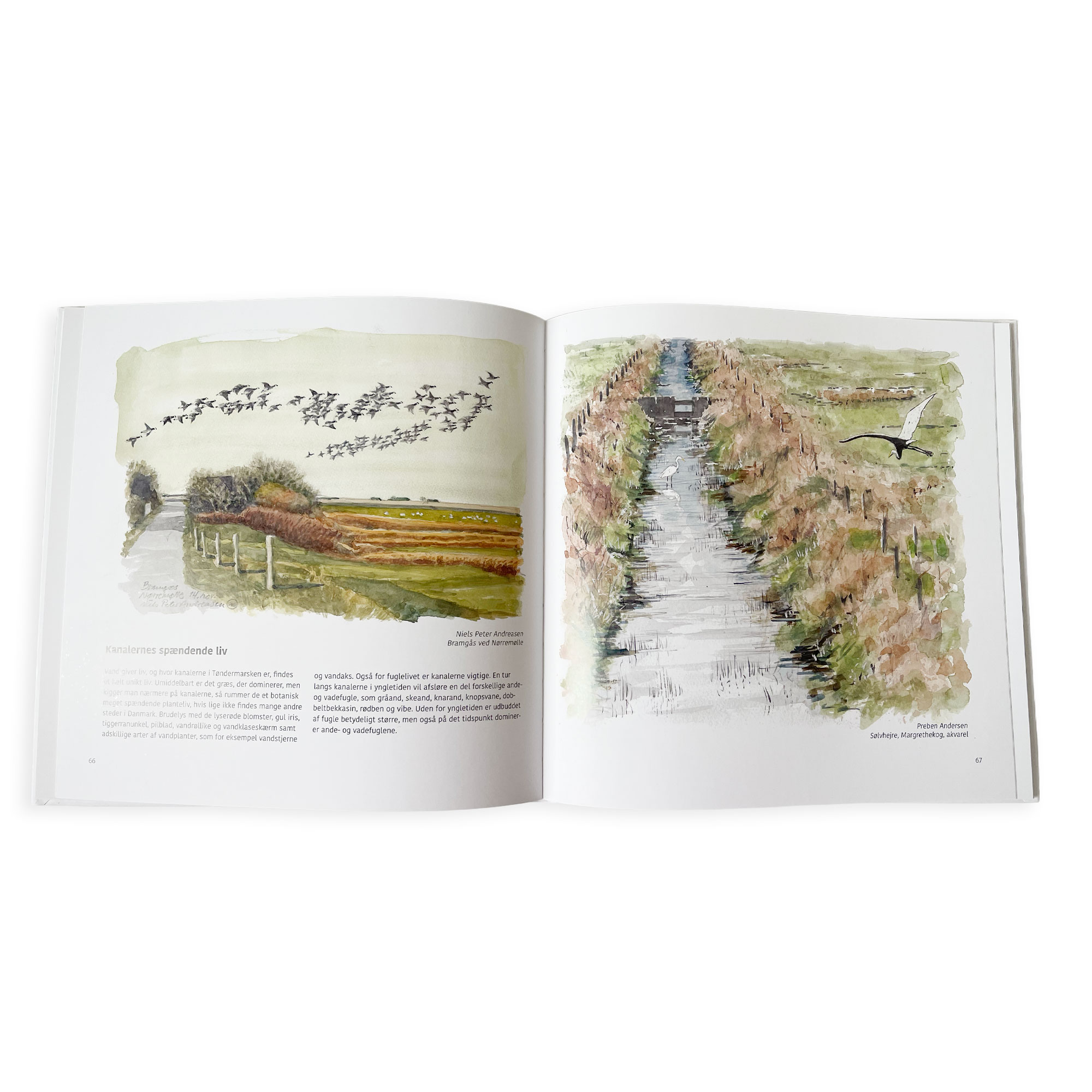 Tøndermarsken - med højt til himlen (124 sider) - Billede 3