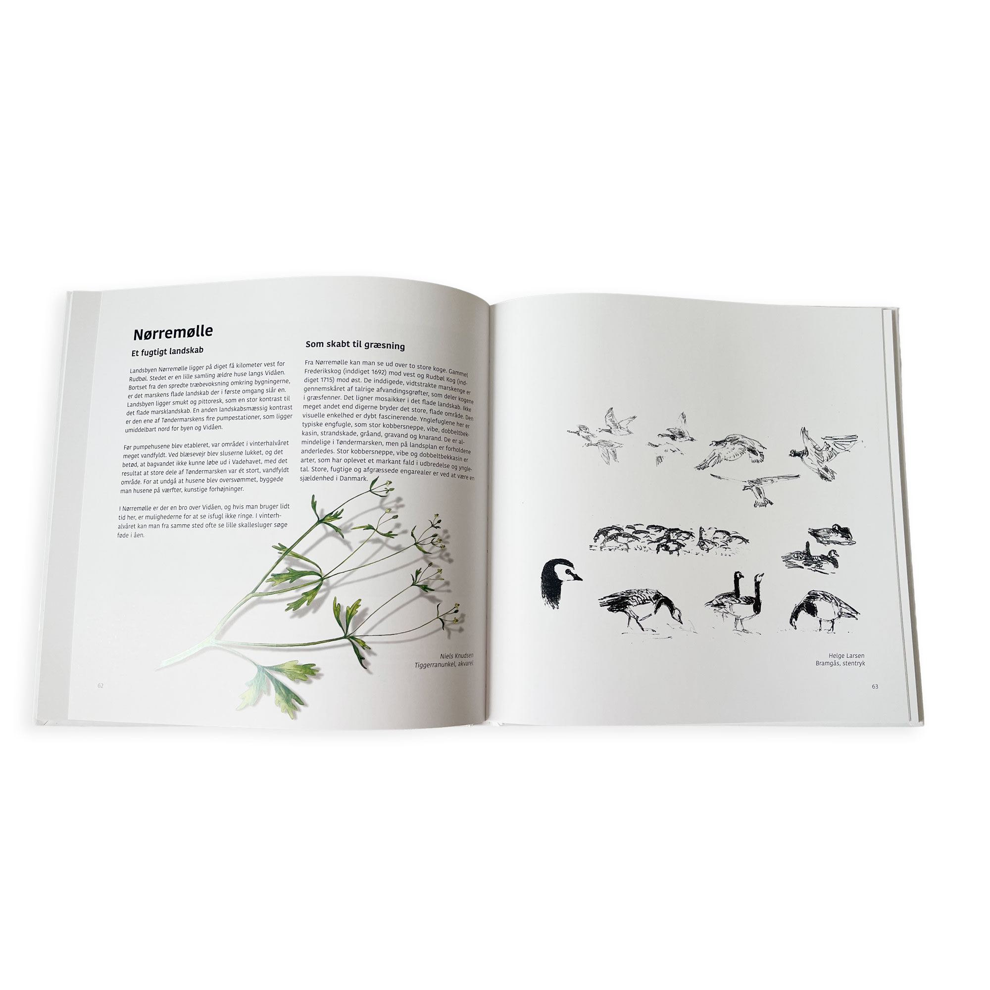 Tøndermarsken - med højt til himlen (124 sider) - Billede 4