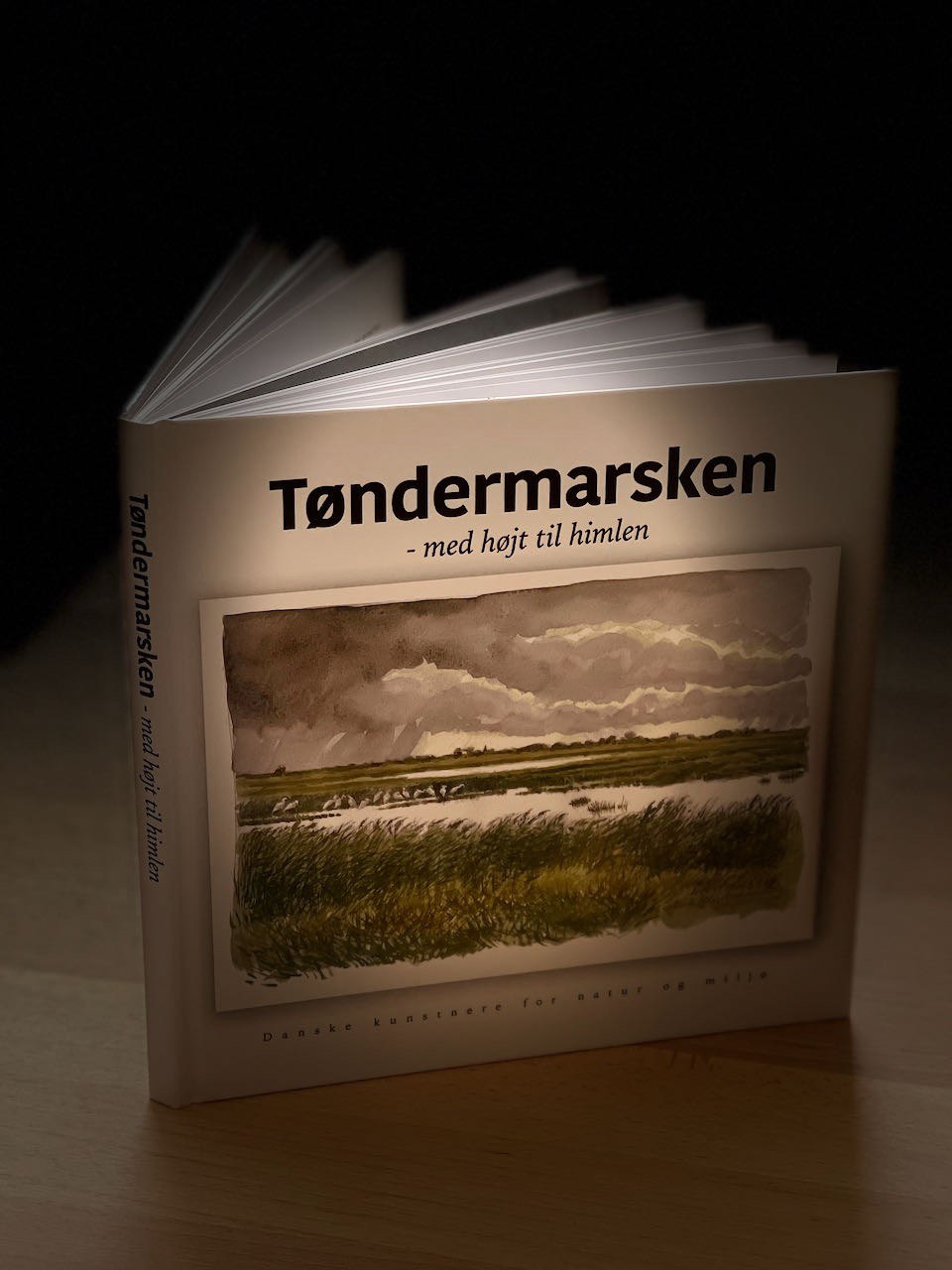 Tøndermarsken - med højt til himlen (124 sider) - Billede 2